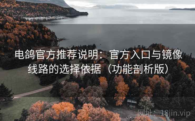 电鸽官方推荐说明：官方入口与镜像线路的选择依据（功能剖析版）