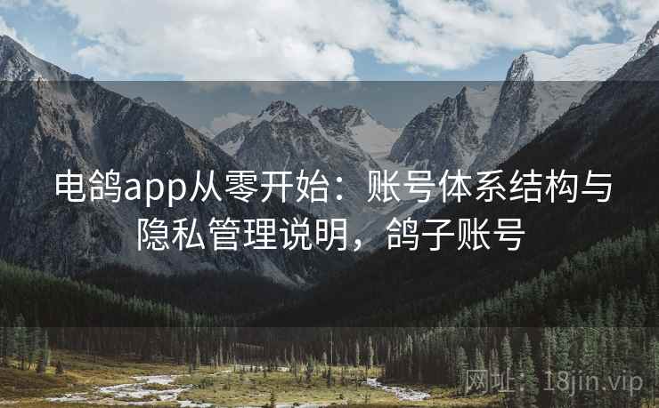 电鸽app从零开始：账号体系结构与隐私管理说明，鸽子账号