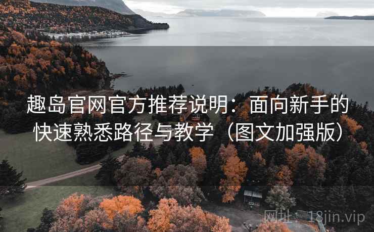 趣岛官网官方推荐说明：面向新手的快速熟悉路径与教学（图文加强版）