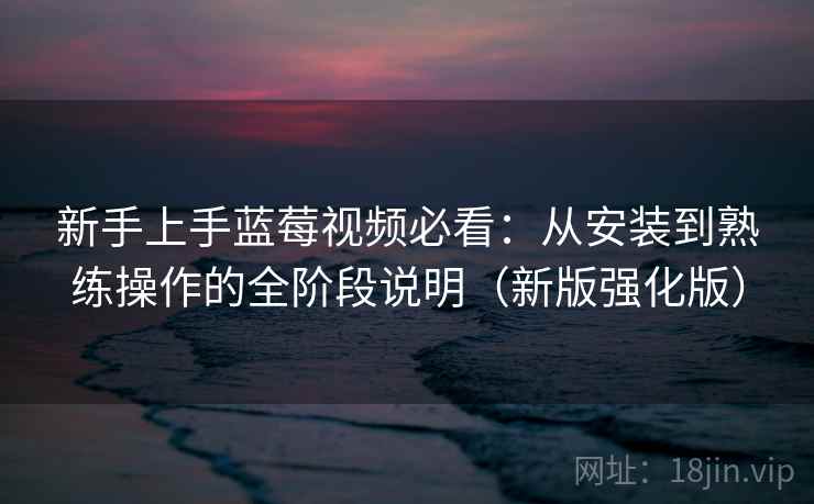 新手上手蓝莓视频必看：从安装到熟练操作的全阶段说明（新版强化版）