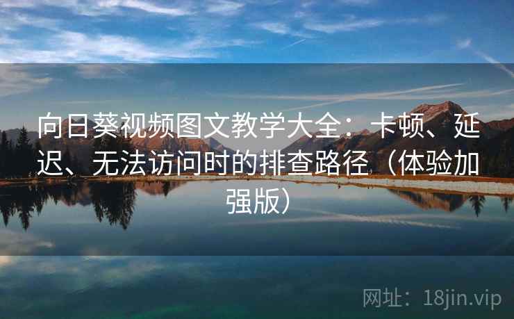 向日葵视频图文教学大全：卡顿、延迟、无法访问时的排查路径（体验加强版）