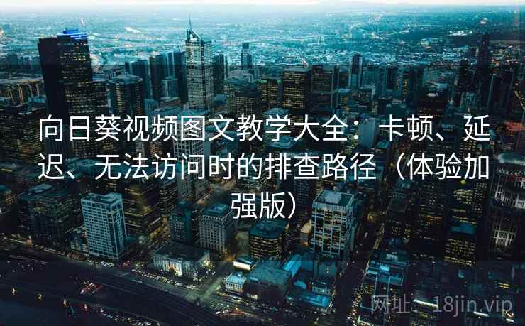 向日葵视频图文教学大全：卡顿、延迟、无法访问时的排查路径（体验加强版）