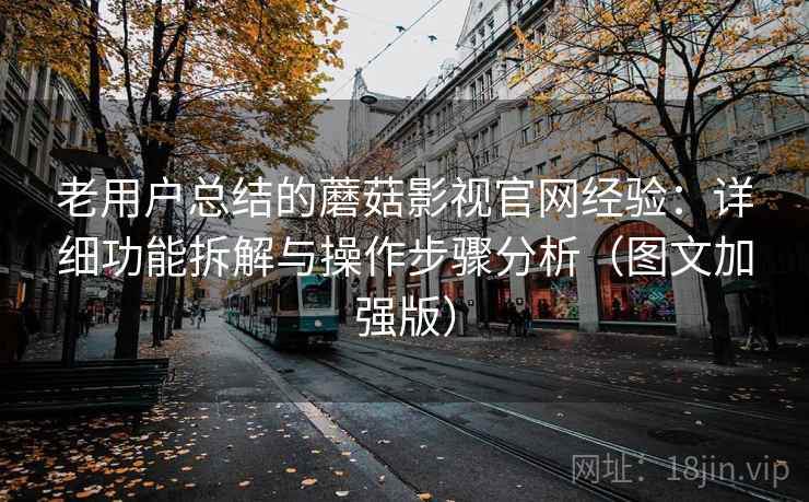老用户总结的蘑菇影视官网经验：详细功能拆解与操作步骤分析（图文加强版）