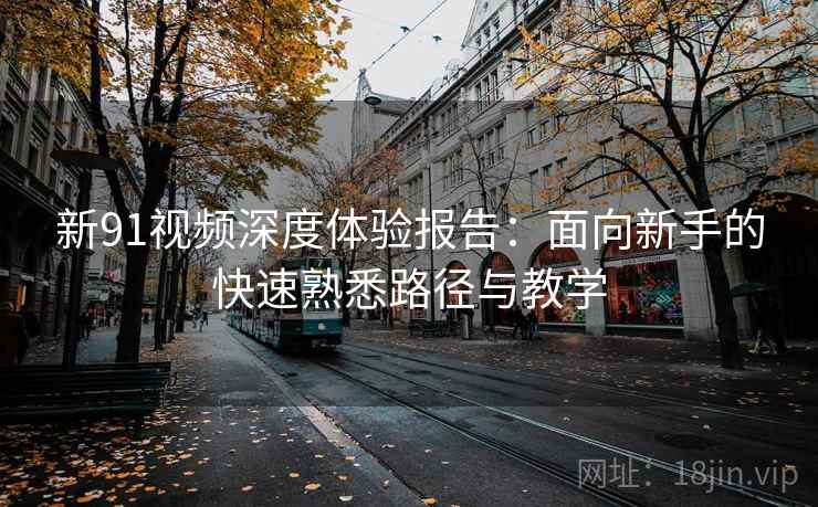 新91视频深度体验报告：面向新手的快速熟悉路径与教学