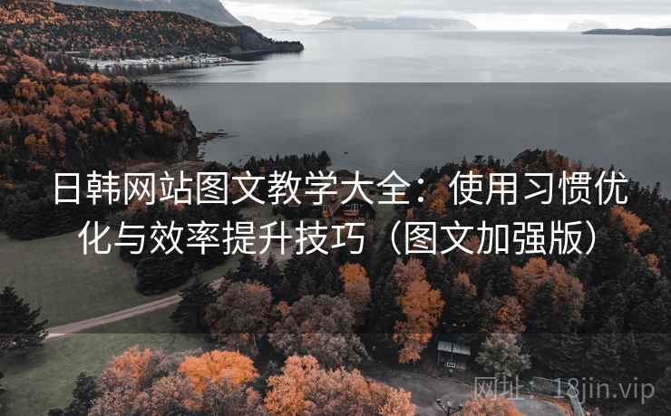 日韩网站图文教学大全：使用习惯优化与效率提升技巧（图文加强版）