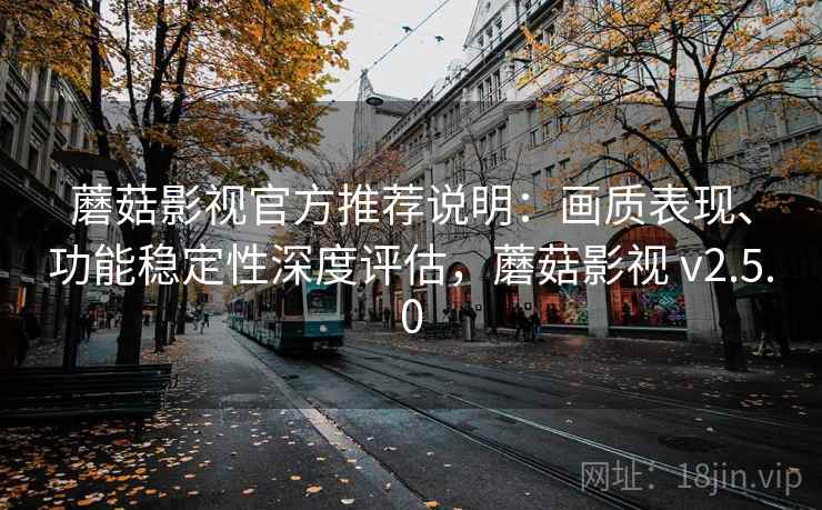 蘑菇影视官方推荐说明：画质表现、功能稳定性深度评估，蘑菇影视 v2.5.0
