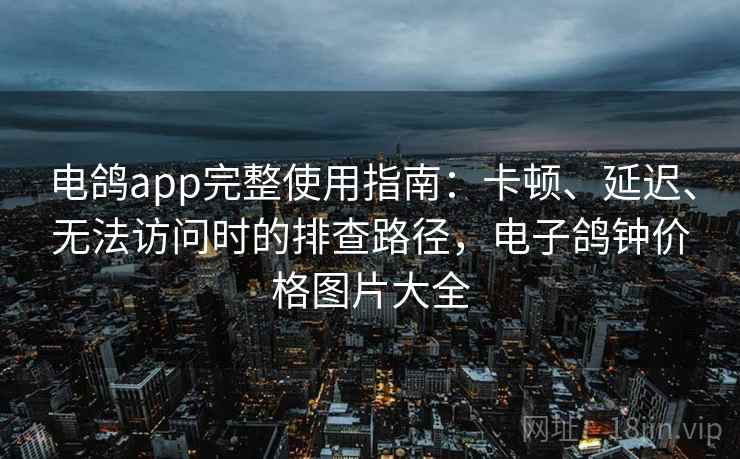 电鸽app完整使用指南：卡顿、延迟、无法访问时的排查路径，电子鸽钟价格图片大全