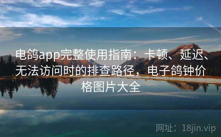 电鸽app完整使用指南：卡顿、延迟、无法访问时的排查路径，电子鸽钟价格图片大全