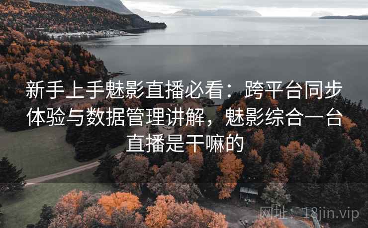 新手上手魅影直播必看：跨平台同步体验与数据管理讲解，魅影综合一台直播是干嘛的