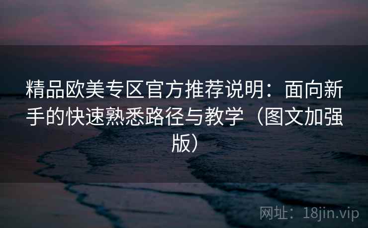 精品欧美专区官方推荐说明：面向新手的快速熟悉路径与教学（图文加强版）