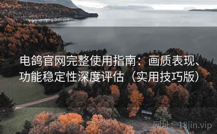 电鸽官网完整使用指南：画质表现、功能稳定性深度评估（实用技巧版）