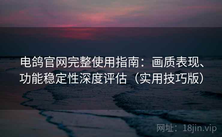 电鸽官网完整使用指南：画质表现、功能稳定性深度评估（实用技巧版）