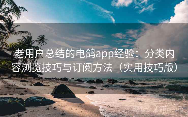 老用户总结的电鸽app经验：分类内容浏览技巧与订阅方法（实用技巧版）