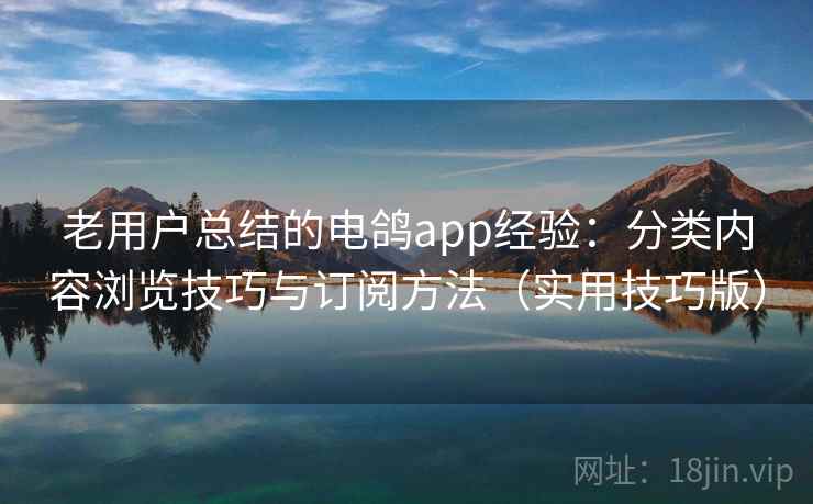 老用户总结的电鸽app经验：分类内容浏览技巧与订阅方法（实用技巧版）