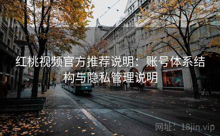 红桃视频官方推荐说明：账号体系结构与隐私管理说明