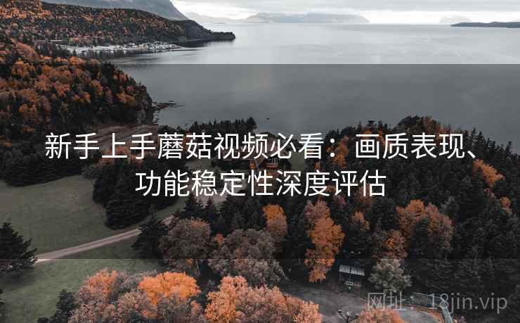 新手上手蘑菇视频必看：画质表现、功能稳定性深度评估
