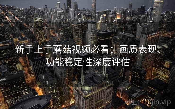 新手上手蘑菇视频必看：画质表现、功能稳定性深度评估