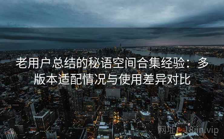 老用户总结的秘语空间合集经验：多版本适配情况与使用差异对比