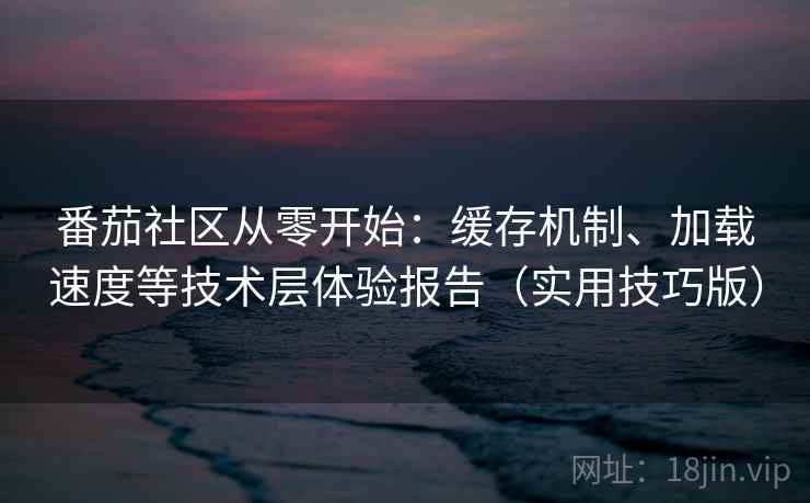 番茄社区从零开始：缓存机制、加载速度等技术层体验报告（实用技巧版）